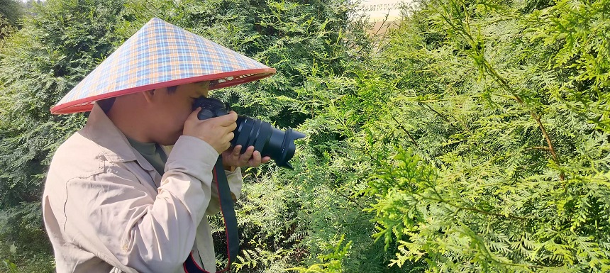 老崖柏正“青春”不朽情缘首页古(图5)